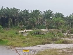 Sungai Kulur Kembali Digarap Penambang