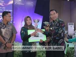 UMKM Award Bersumber Dari Dana Insentif Daerah