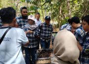 Rombongan DPMD Provinsi Jabar Kunjungi Hutan Pelawan Namang