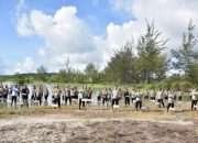 Polda Tanam 1.300 Pohon Mangrove di Lintas Timur