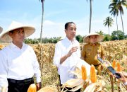 Presiden Dorong Peningkatan Produksi dan Kesejahteraan Petani