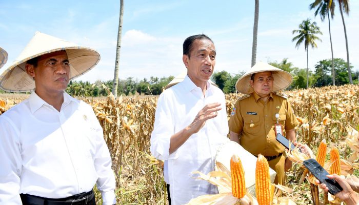 Presiden Dorong Peningkatan Produksi dan Kesejahteraan Petani