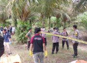 Jasad Bongtho Ditemukan di Kolong Kebun Sawit