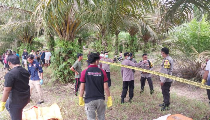 Jasad Bongtho Ditemukan di Kolong Kebun Sawit