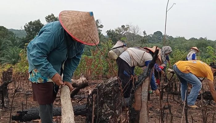 Nugal, Tradisi Turun-temurun Yang Masih Dilestarikan