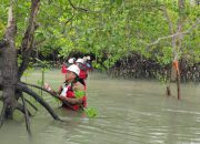 PT Timah Komitmen Menjaga Keseimbangan Ekosistem Pesisir