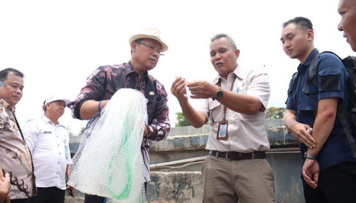 Dorong Inovasi Transformasi Sektor Perikanan