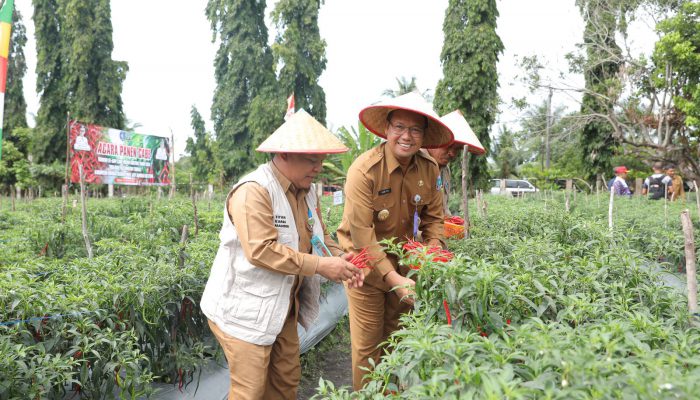 Sugito Hadiri Panen Raya Padi dan Cabai