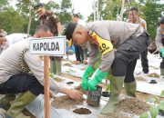 Tanami Ribuan Bibit Tanaman di Lahan 50 Hektar