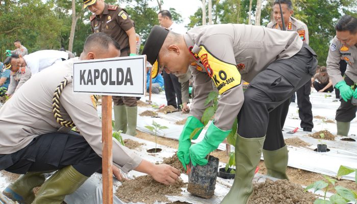 Tanami Ribuan Bibit Tanaman di Lahan 50 Hektar