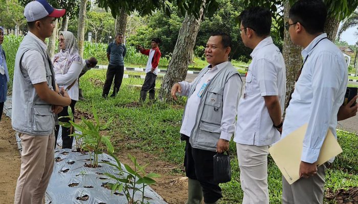 BI Survey Kebun PKK Cikar