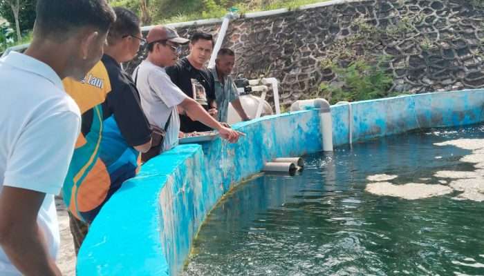 PT Timah Gelar Pelatihan Untuk Pokdakan Tuah Bersatu