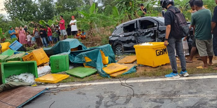 Udang Vaname Berhamburan di Jalan