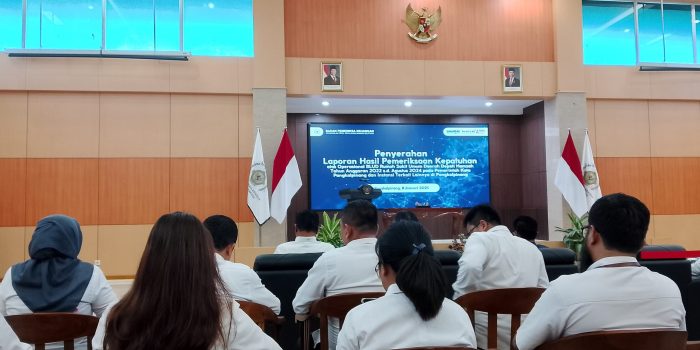 LHP BPK, Ini Permasalahan di RSUD Depati Hamzah