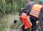 Penambang Diseret Buaya ke Dalam Air