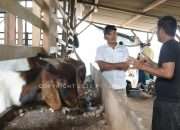 Bantu Kelompok Tani Berkah Makmur Kembangkan Kandang Kambing