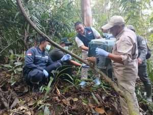 Satwa Yang Telah Siap Dikembalikan ke Habitatnya