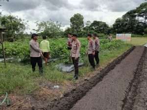 Program Pekarangan Bergizi Dukung Ketahanan Pangan Lokal