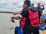 Tebar 300 Bibit Kepiting Bakau di Pantai Kundur