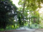Ini Bukti Langkah Nyata PT Timah Menuju Keberlanjutan