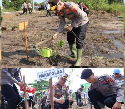 Gencarkan Penanaman Bibit Pohon di Lahan Bekas Tambang