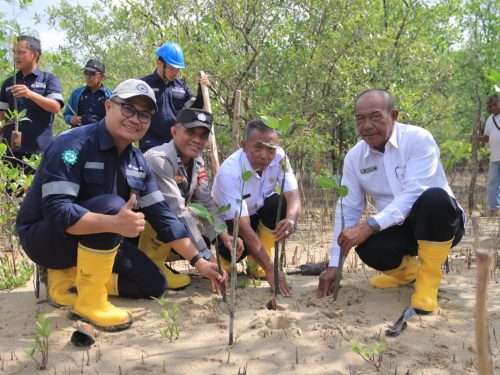 Ini Langkah Nyata PT Timah Dalam Melestarikan Lingkungan