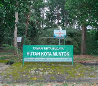 PT Timah Jaga Flora Fauna Endemik dan Kawasan Konservasi