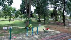 Tins Green Garden Foresttree Dukung Gaya Hidup Sehat