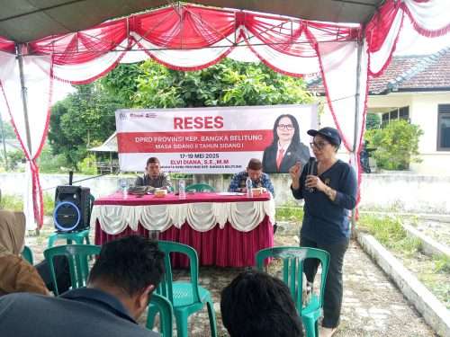 Elvi Diana Soroti Aset Tak Termanfaatkan dan Infrastruktur Rusak