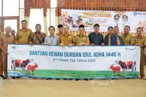 PT Timah Konsisten Berbagi Hewan Kurban Untuk Masyarakat