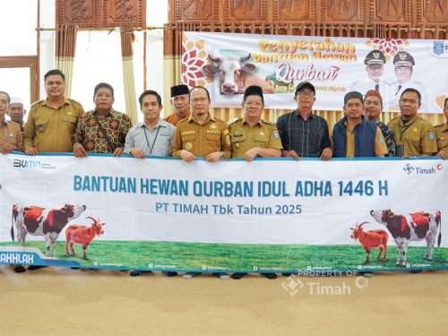 PT Timah Konsisten Berbagi Hewan Kurban Untuk Masyarakat