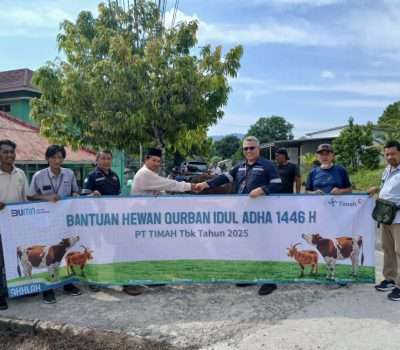 PT Timah Sebar Hewan Kurban di Bangka Barat