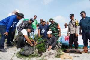 PT Timah Tanam Pohon Peneduh di Kawasan Wisata Batu Tunggal