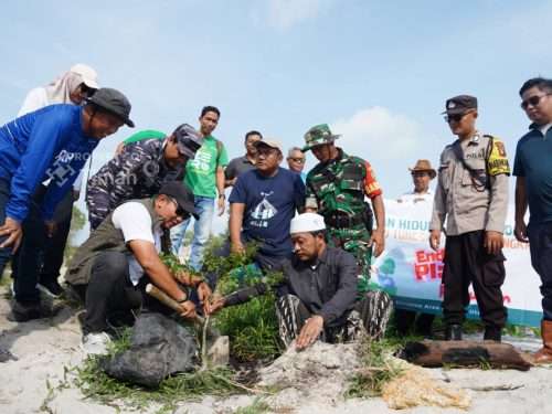 PT Timah Tanam Pohon Peneduh di Kawasan Wisata Batu Tunggal