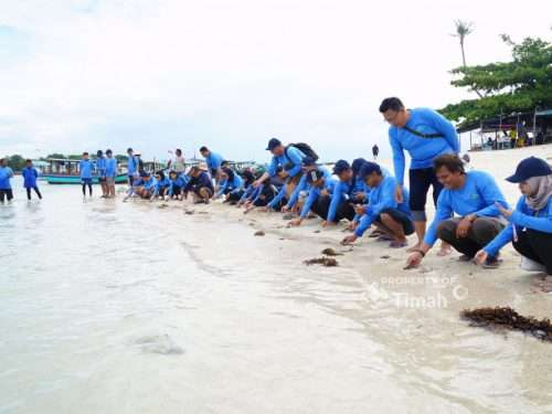 Bukti PT Timah Dukung Pariwisata dan Ekosistem Laut