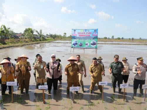 Gubernur Optimis Modernisasi Pertanian Wujudkan Kemandirian Pangan