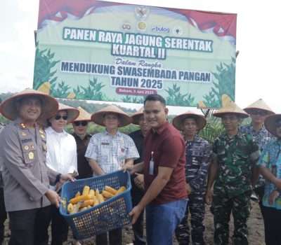 Panen Jagung Kuartal II, Polres Bangka Dukung Swasembada Pangan Nasional