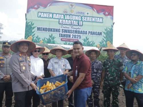 Panen Jagung Kuartal II, Polres Bangka Dukung Swasembada Pangan Nasional