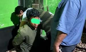 Baru Kenal Sudah Dicabuli di Kebun Sawit
