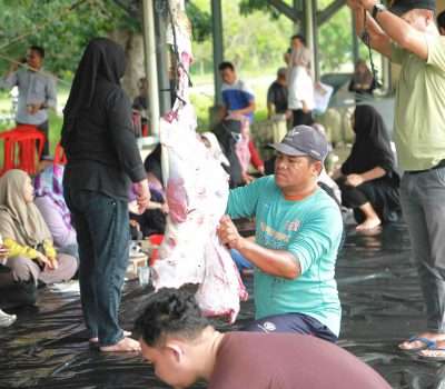 Potong 8 Ekor Sapi dan 3 Kambing