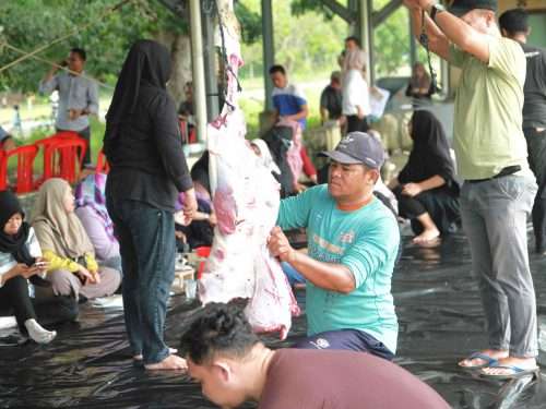 Potong 8 Ekor Sapi dan 3 Kambing