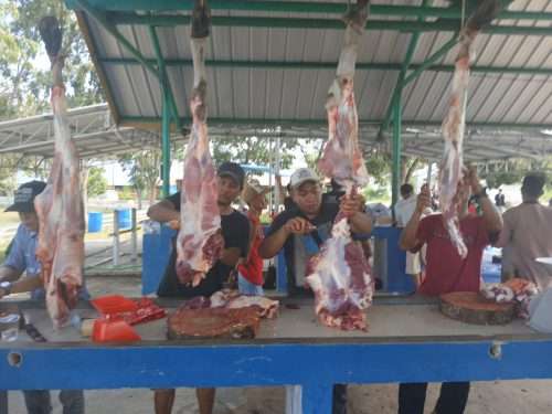 Warga Kesatuan Islam Tionghoa, Hingga Petugas Kebersihan Terima Daging Kurban