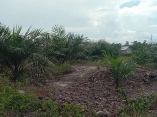 Heri Sampaikan Keluhan Kepada Gubernur