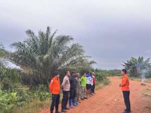 Tim SAR Cari Lansia yang Hilang di Perkebunan