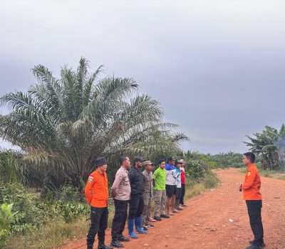 Tim SAR Cari Lansia yang Hilang di Perkebunan