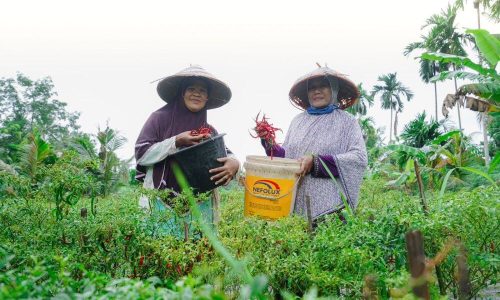 Lewat Pemberdayaan Potensi Lokal, PT Timah Dukung Kemandirian Ekonomi Masyarakat
