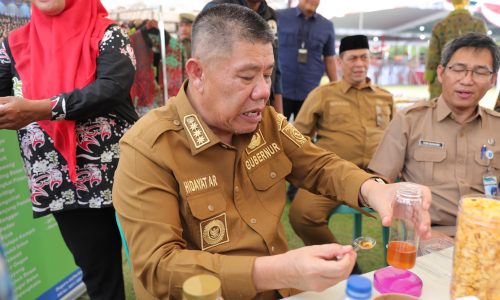 Gubernur Tunjukkan Dukungan Nyata Bagi Pelaku UMKM