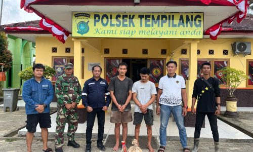 Upaya PT Timah Lindungi Aset Negara