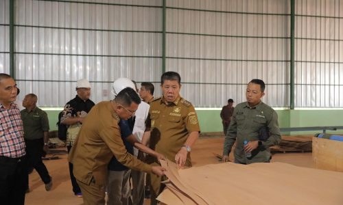 Gubernur Akan Resmikan Pabrik Industri Plywood Sengon Pertama di Babel