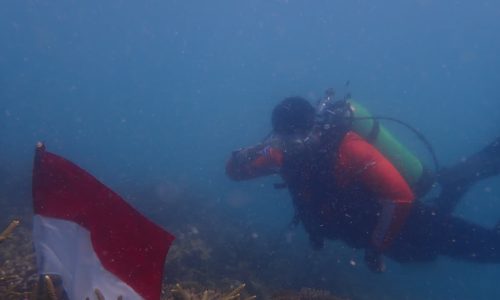 Penyelam Dari Berbagai Komunitas Kibarkan Bendera di Bawah Laut